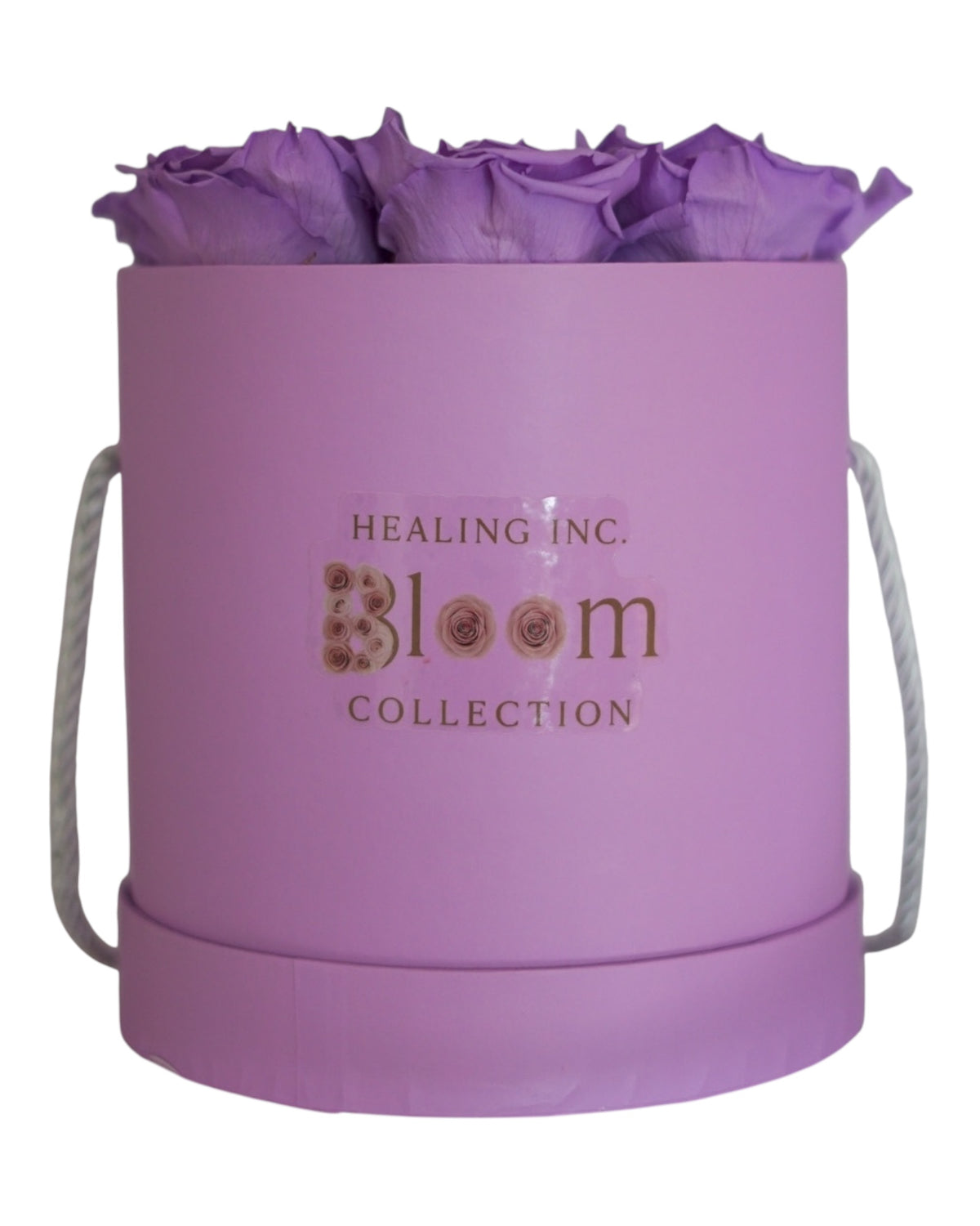 Timeless Lavender Preserved Roses