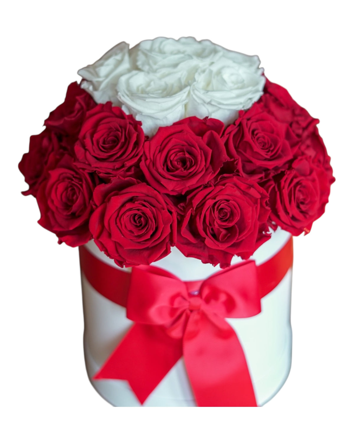 Deluxe Bloom Box  Red & White Preserved Roses