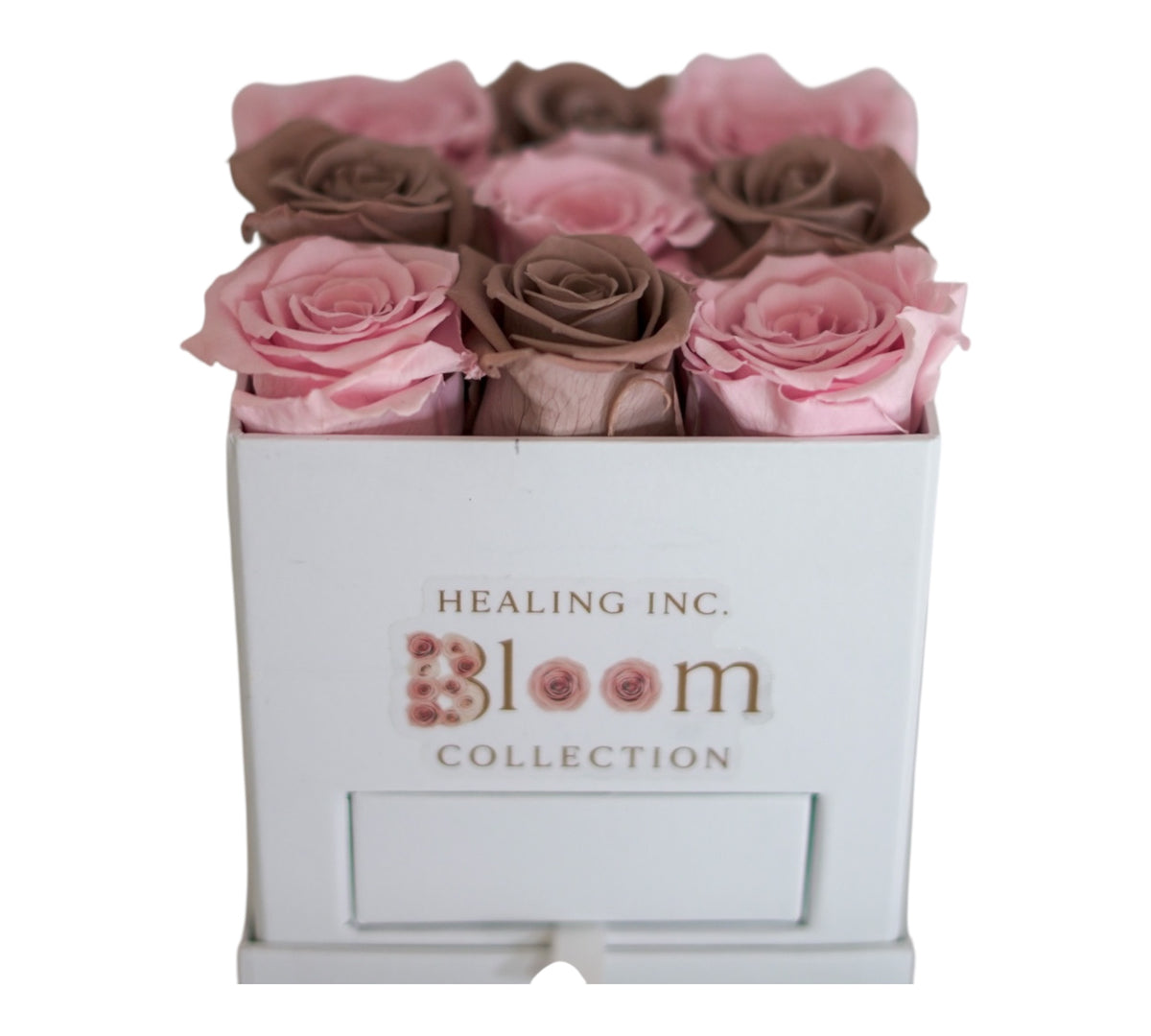 Medium Bloom Box Pink & Mauve