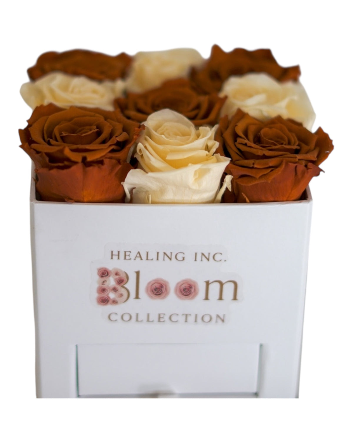 Medium Bloom Box Brown & Off White